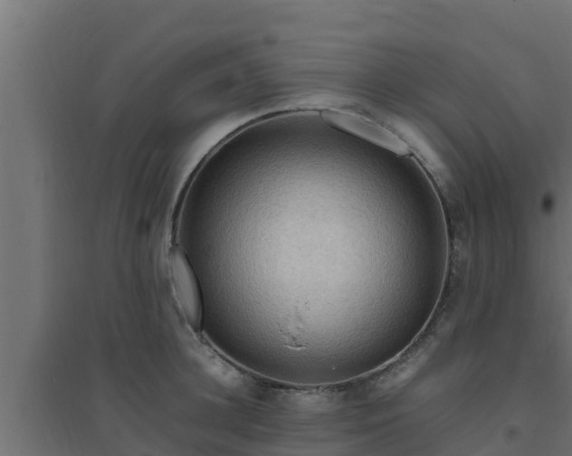 X0000094820948200711241505