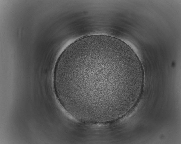 X0000094820949200711241505