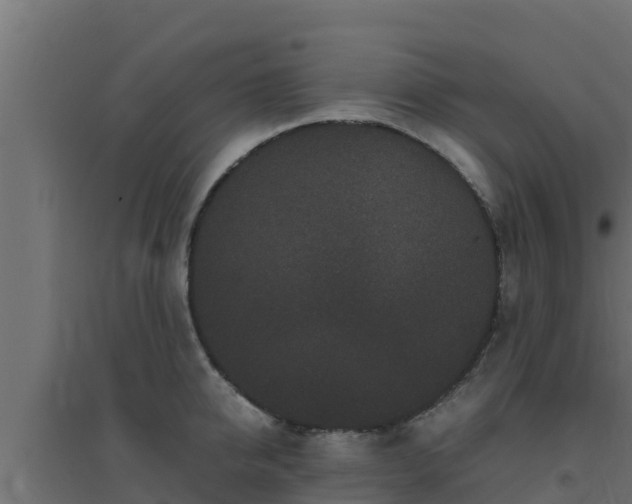 X0000094820950200711241505