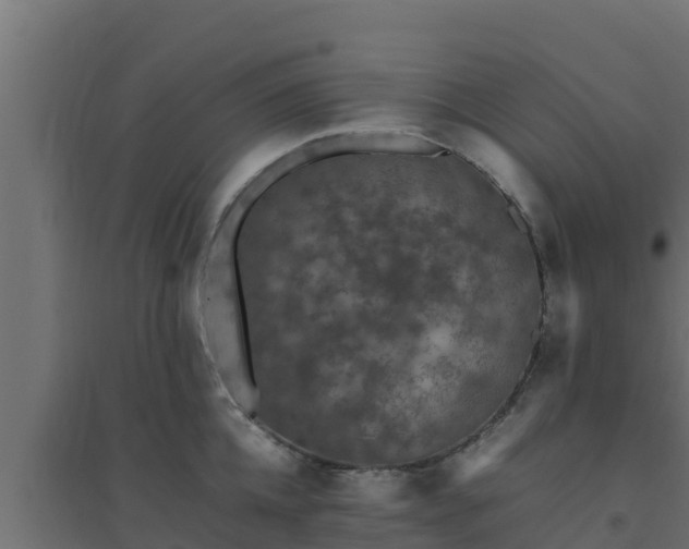 X0000094820952200711241505