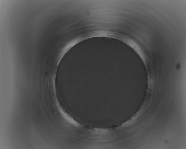 X0000094820954200711241505