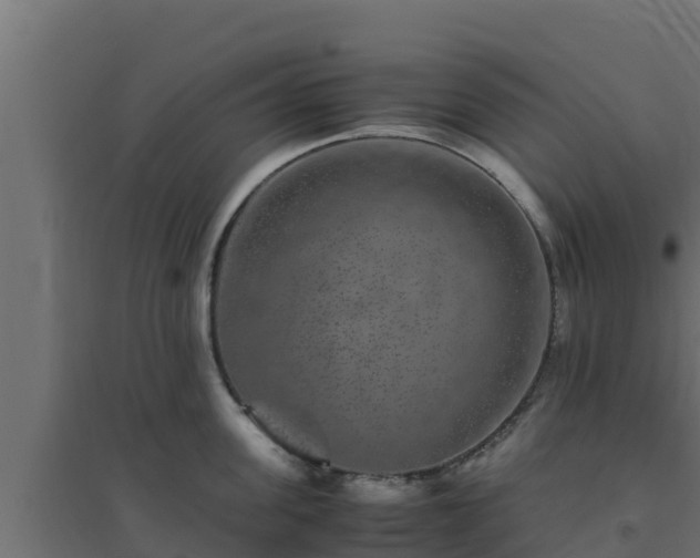 X0000094820955200711241505