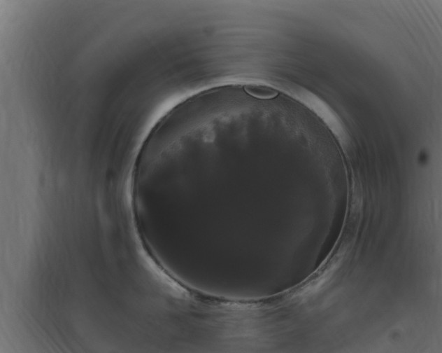 X0000094820958200711241505
