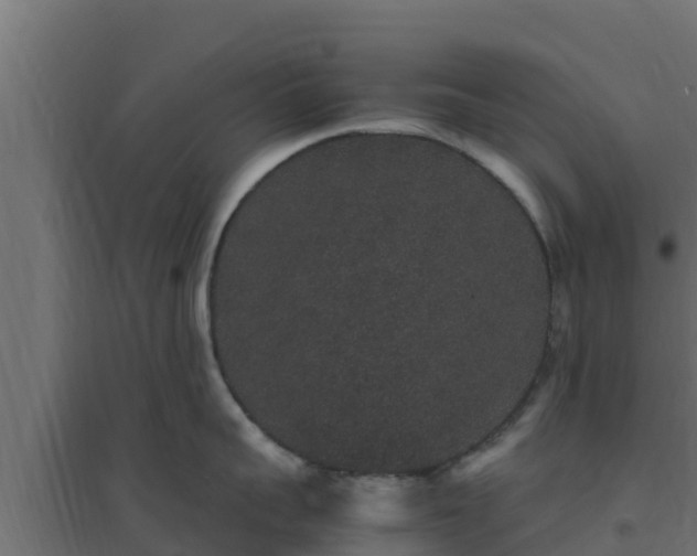 X0000094820959200711241505