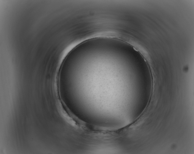 X0000094820960200711241505
