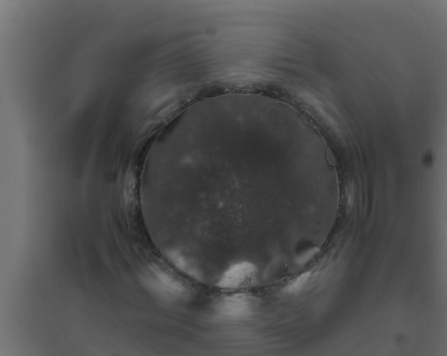X0000094820964200711241505
