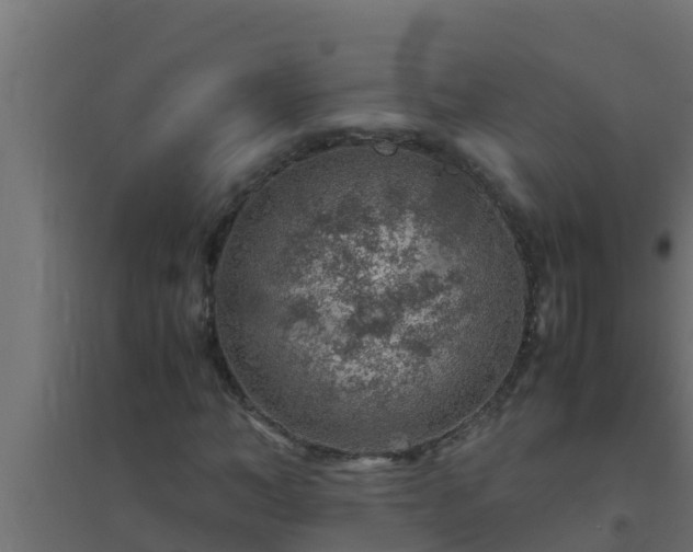 X0000094820966200711241505