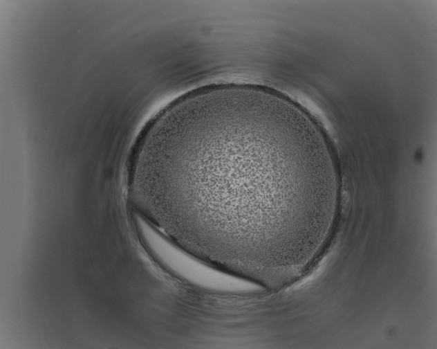 X0000094820981200711241504
