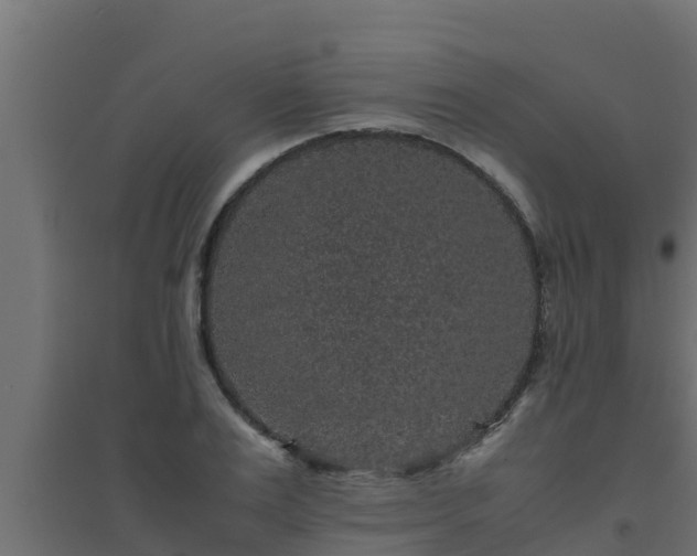 X0000094820983200711241504