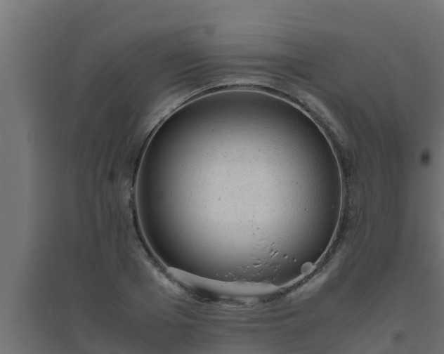 X0000094820985200711241504
