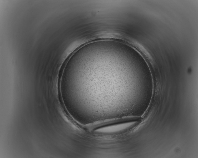 X0000094820986200711241504