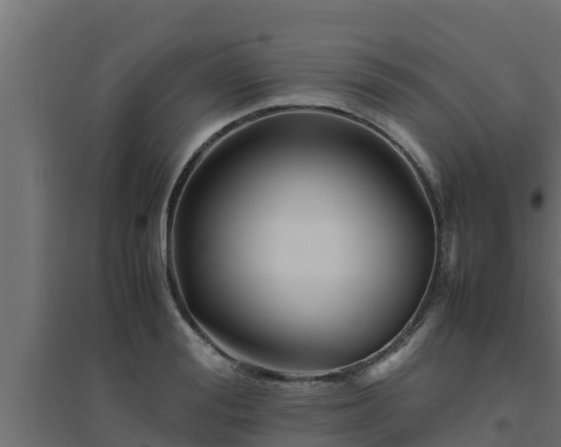 X0000094820988200711241504