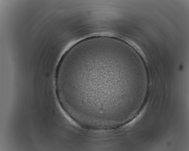 X0000094820989200711241504