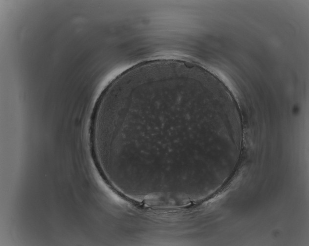 X0000094820995200711241504