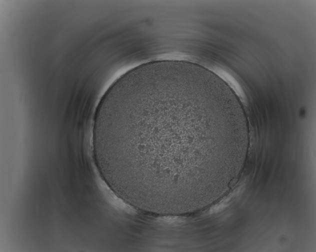 X0000094821000200711241504