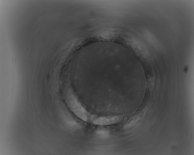 X0000094821009200711241503