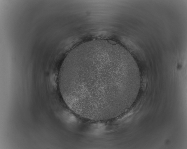 X0000094821010200711241503
