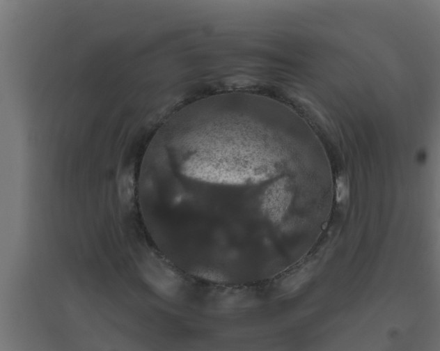 X0000094821011200711241503