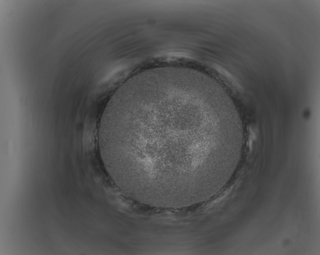 X0000094821014200711241503