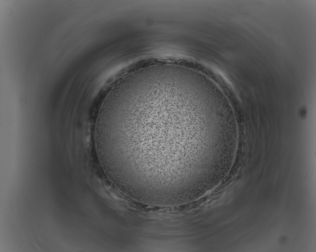 X0000094821016200711241503