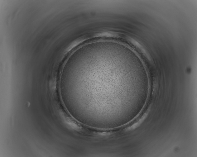 X0000094821017200711241503