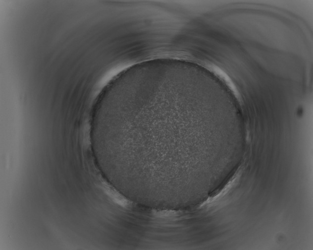 X0000094821019200711241503