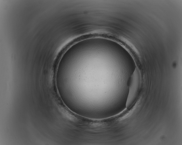 X0000094821021200711241503