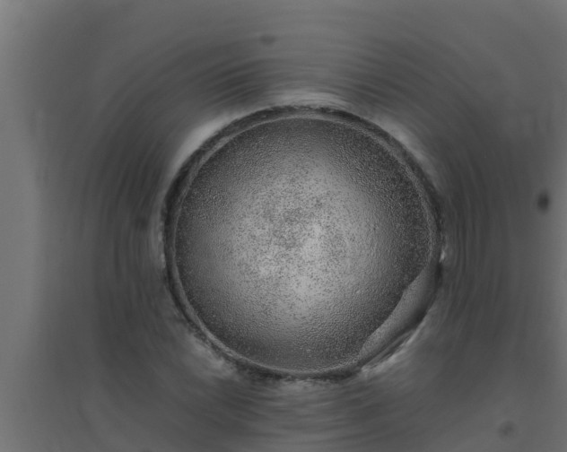 X0000094821022200711241503