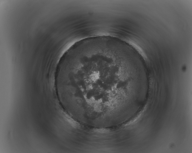 X0000094821023200711241503