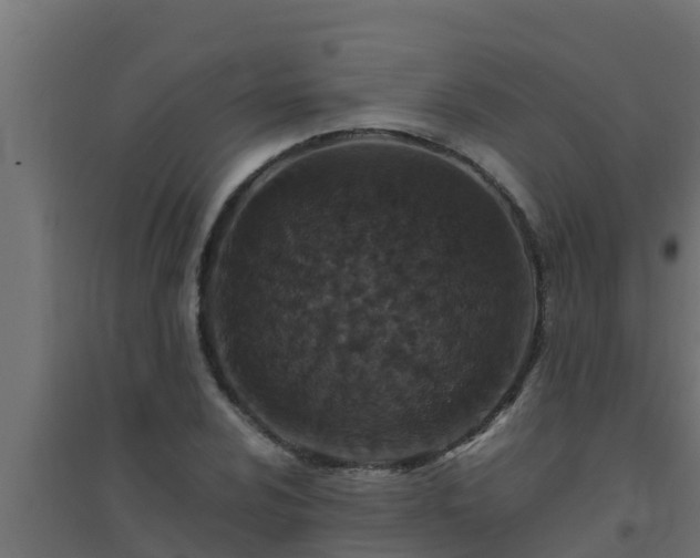 X0000094821024200711241503