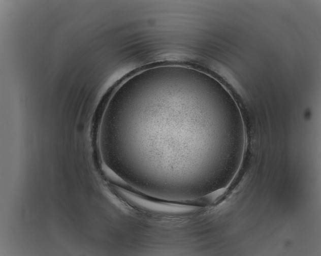 X0000094821026200711241503