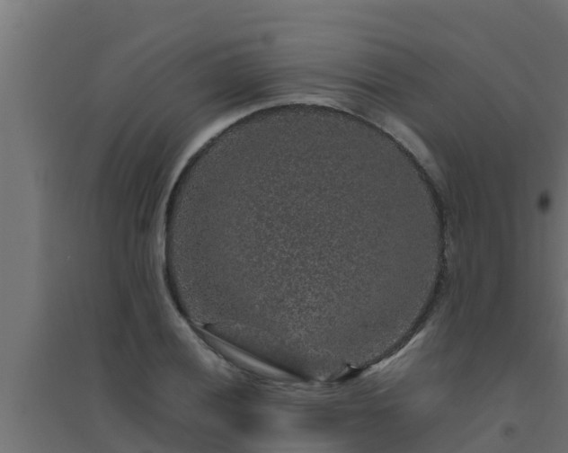 X0000094821028200711241503