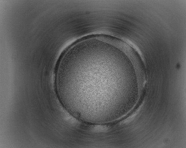 X0000094821029200711241503