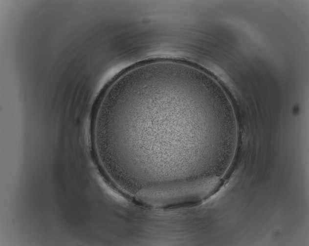 X0000094821030200711241503