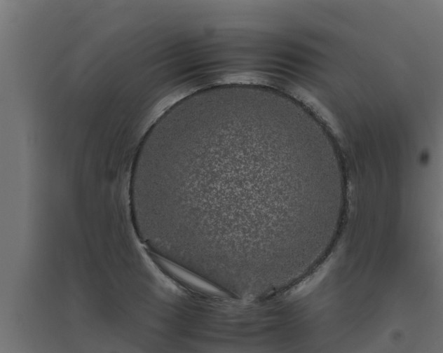 X0000094821033200711241503
