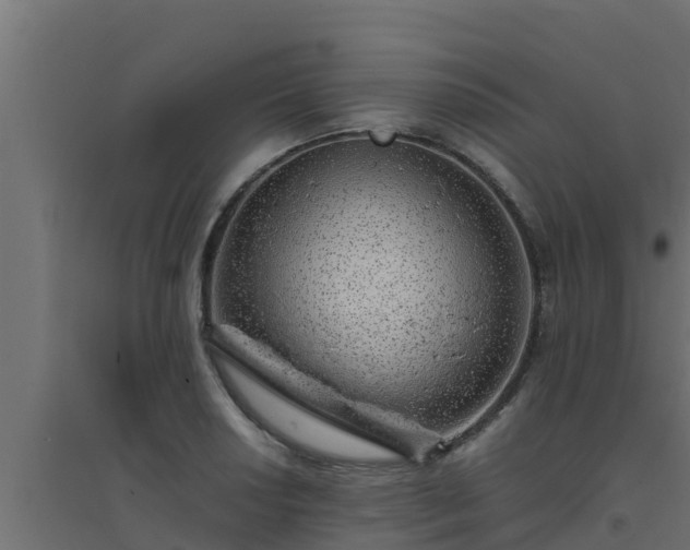 X0000094821034200711241503