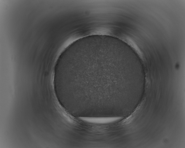 X0000094821035200711241503