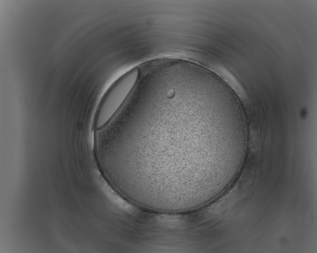 X0000094821036200711241503