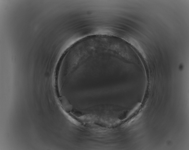 X0000094821037200711241503