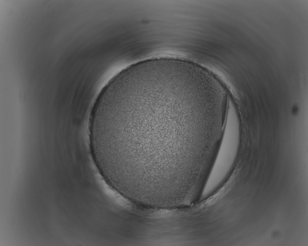 X0000094821038200711241503