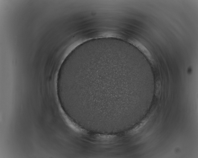 X0000094821039200711241503