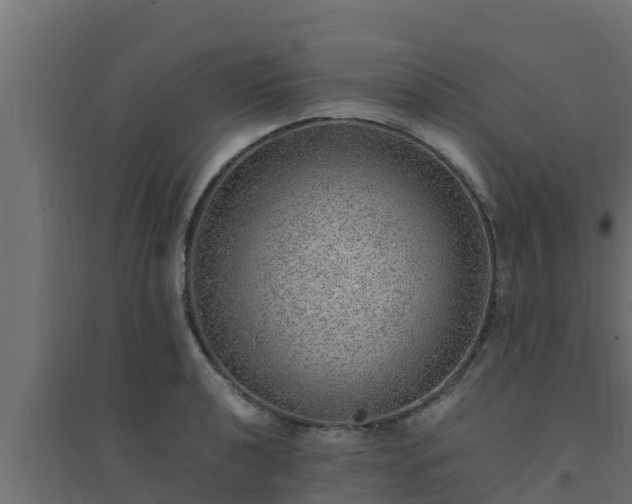 X0000094821040200711241503