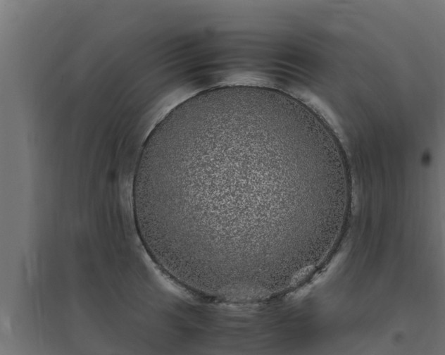 X0000094821041200711241503