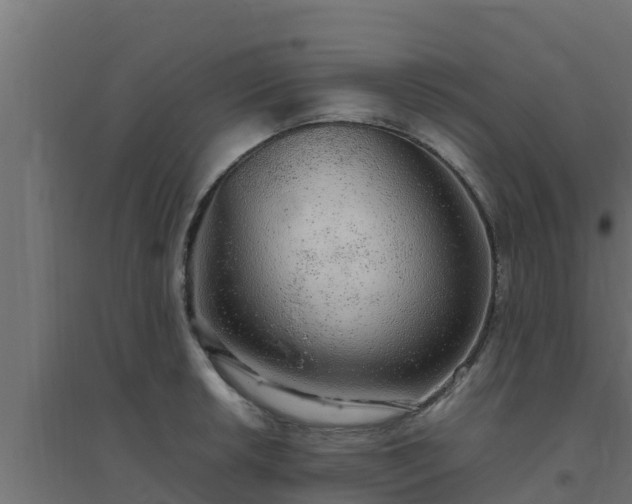 X0000094821042200711241503
