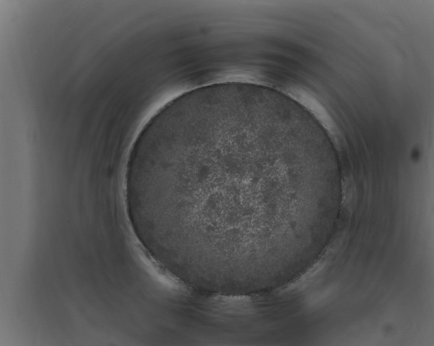 X0000094821043200711241503