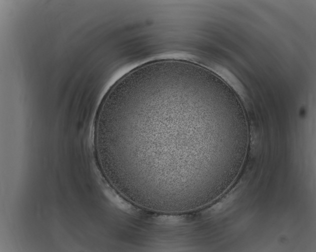 X0000094821044200711241503