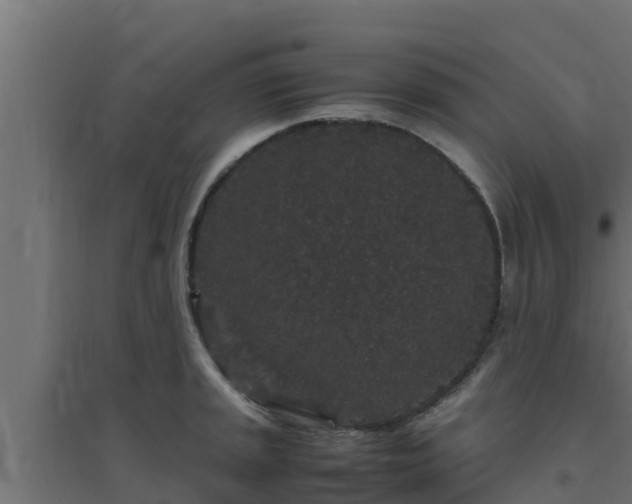 X0000094821045200711241503