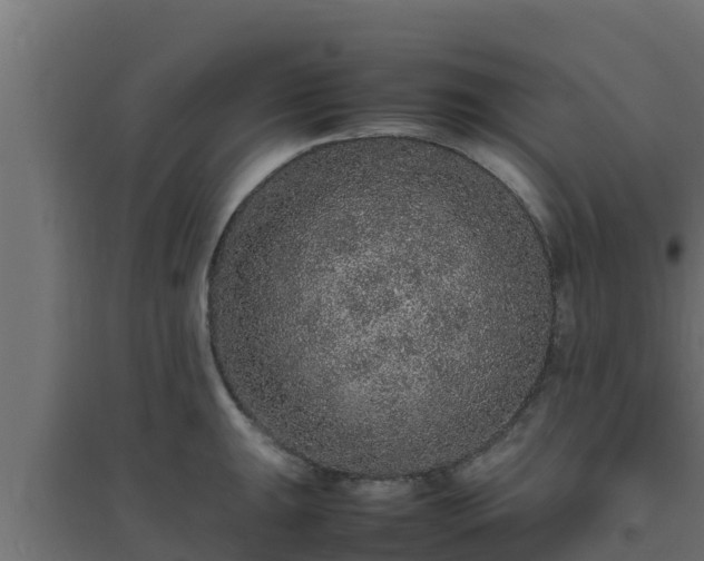 X0000094821047200711241503