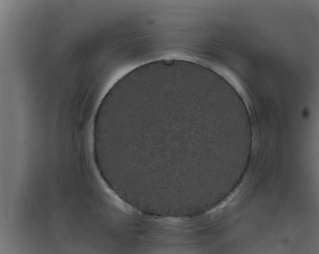 X0000094821048200711241503