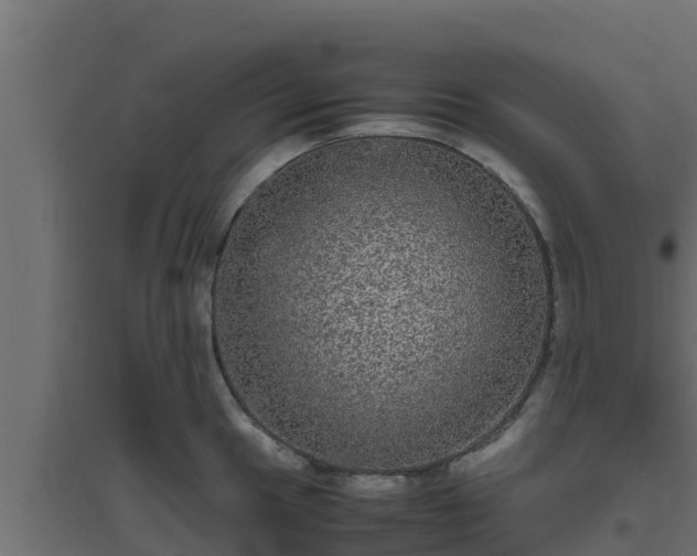 X0000094821049200711241503
